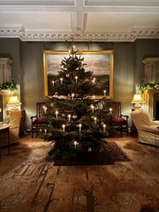 Birdsall's Christmas tree