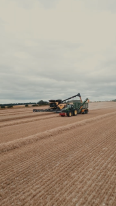 John Deere combine harvester cutting wheat in a field on the Birdsall Estate in the Yorkshire Wolds